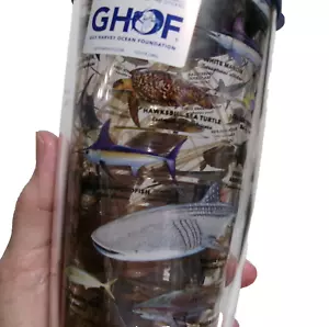 Guy Harvey Charts Thermobecher für die Ozeanhaie Fisch Schildkröte - Bild 1 von 11
