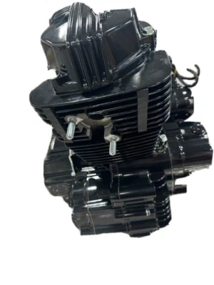 250cc 167FMM-M Lifan Engine w/ 5 Speeds and Kickstart - Image 1 of 4