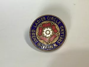 Broche vintage esmalte señora círculo Gran Bretaña e Irlanda insignia de latón - Imagen 1 de 5
