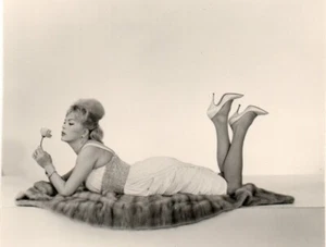 Sam Levin Artiste Coccinelle Trans Planche Contact 4 Photos 1960's - Picture 1 of 7