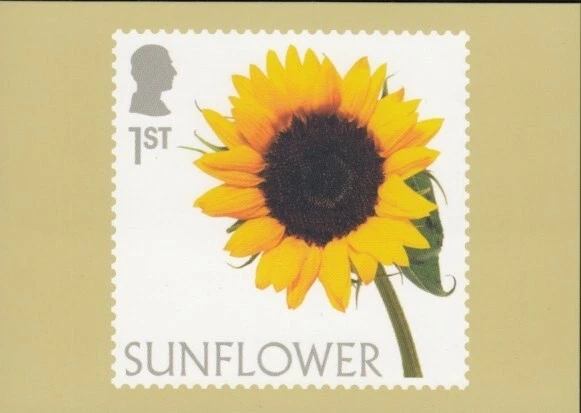 Tarjeta PHQ de GRAN BRETAÑA Flores Girasol Royal Mail Foto 1 de 1