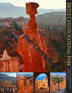Bryce Canyon Parque Nacional: El Corazón Hoodoo Del Desierto | Muy Buen Estado - Imagen 1 de 1