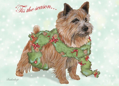 Juego de 10 tarjetas y 10 sobres de Navidad Norwich Terrier Foto 1 de 1