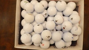 50 AAAA-AAA Bridgestone e6 Used Golf Balls - Picture 1 of 1