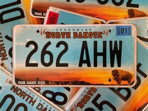 Expired Authentic 2021 North Dakota License Plate  Newest Design Legendary Bison - Picture 1 of 1