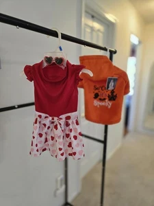 Halloween spirit orange so cute it’s spooky dog sweater hoodie Sz M Valentines - Picture 1 of 9