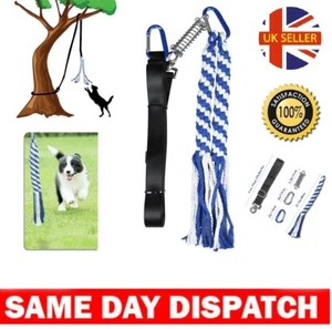 Heavy Duty Pull Tether Toy of Pet Dog Training Spring Pole Dog Rope Exercise UK - Picture 1 of 10