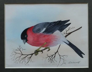 BULLFINCH SIGNED ORIGINAL PAINTING by JIM ROBERTS (Author of SNOWDONIA) - Picture 1 of 3