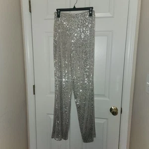 Crystal Sky Silver Sequin Pants Womens M Pull On Disco Festival Chic Retro - Picture 1 of 4