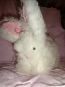 Bunny White realistic 9" laying Rabbit VTG Ms. Noah Original Toy Plush Stuffed - Picture 1 of 11