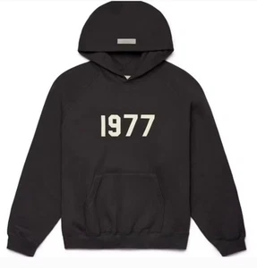FEAR OF GOD ESSENTIALS Hoodie 1977 IRON S22 Size M 100% Authentic - Picture 1 of 6