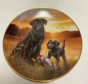 Lynn Kaatz - What's a Mother to Do Collector Plate - Limited Edition - Picture 1 of 4