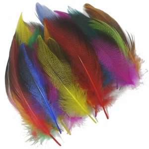 100 PC al por mayor plumas de pato 5-10cm / 2-4inch teñido multicolor decoración de flanco - Imagen 1 de 27