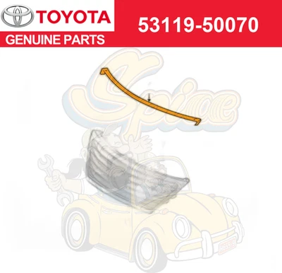 REJILLA RADIADOR PROTECTOR ORIGINAL LEXUS LS460 (07-12) LS600hL (08-12) 53119-50070 Foto 1 de 3