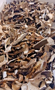 FUNGHI PORCINI SECCHI ESSICCATI AL SOLE DI CALABRIA FATTI IN CASA CASARECCI CHEF - Foto 1 di 4