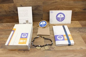 Bracciale Destiny 2 Shadowkeep Collector's Edition Steel Box da collezione no gioco - Foto 1 di 16