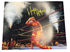 Hulk Hogan handsigniertes Foto 8x10 PIA verschmiert - Bild 1 von 2