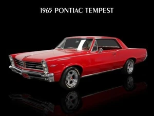 1965 Pontiac Tempest in Red NEW Metal Sign: 12x16" Free Shipping - Picture 1 of 1
