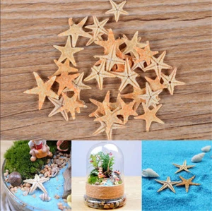 25 pcs Mini Cute Small Starfish Sea Star Shell Beach Home Decor DIY Craft - Bild 1 von 7
