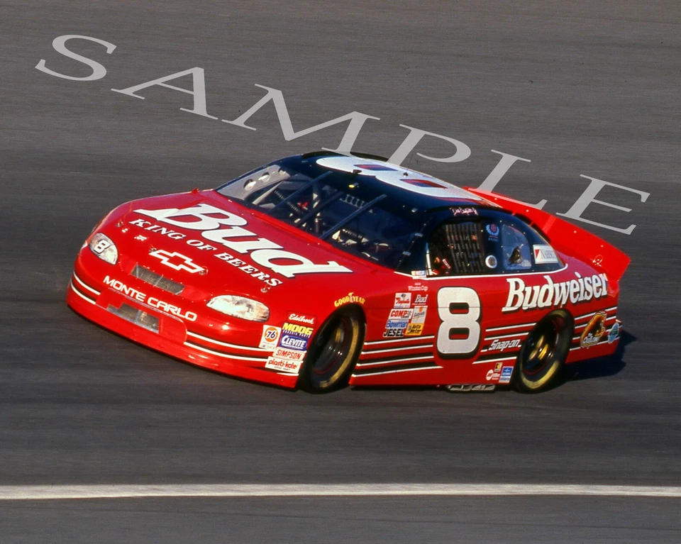 DALE EARNHARDT JR #8 BUD CHEVY 1999 COKE 600 8X10 GLOSSY PHOTO #E9 - Image 1 of 1