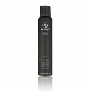Paul Mitchell Awapuhi Wild Ginger Dry Shampoo Foam 5.6 oz FREE SHIPPING - Picture 1 of 1