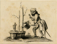 Antique Print-SATIRE-MONKEY-TAIL PIECE-WATERING CAN-TREE-Hogarth-Cook-1807