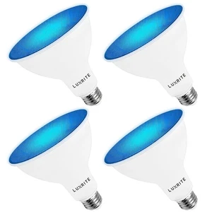 Luxrite LED PAR38 Flood Blue Light Bulb 8W=45W Damp Rated UL E26 Base 4 Pack - Picture 1 of 7