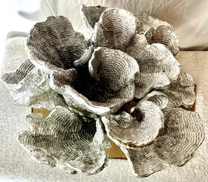 GRANDE SCULTURA CORALLO MARE MARE MARE MARE TRE MANI DECORAZIONE TAVOLO SPIAGGIA CROMO 13” - Foto 1 di 6