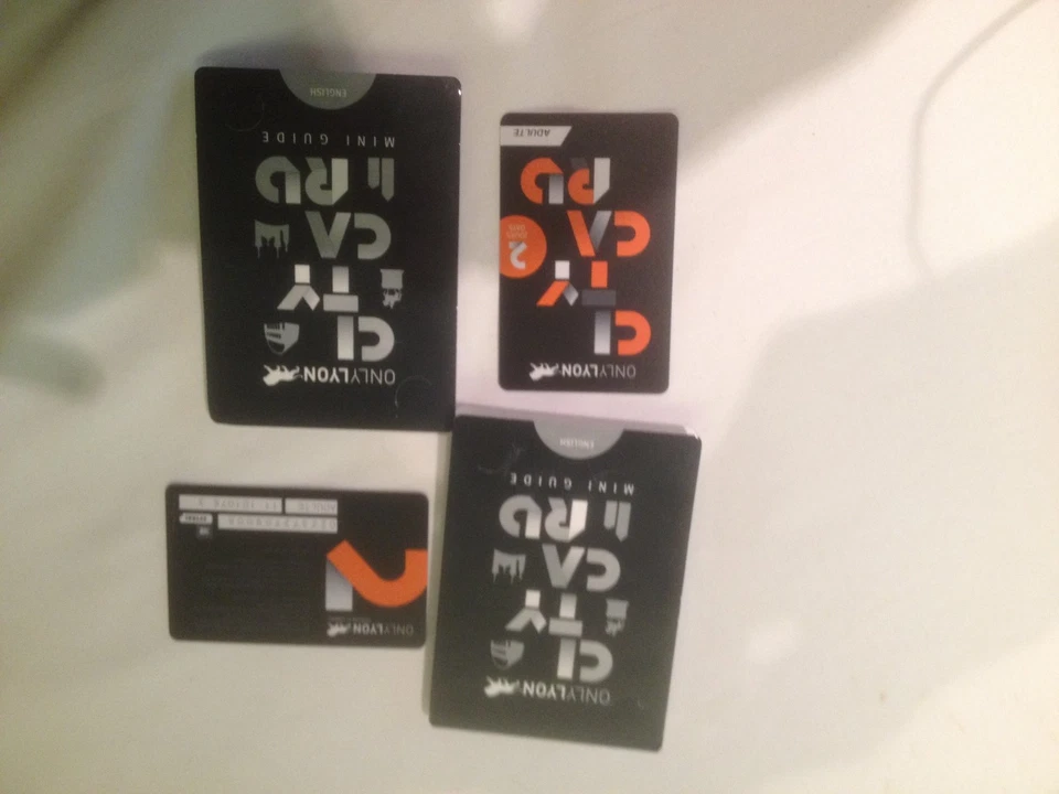 Lyon France 2 day city pass for 2 adults to many attractions for free - Image 1 of 1