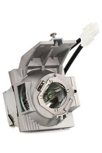 Prog RLC-117 Ersatzlampe mit Gehäuse für Viewsonic Projektoren PX727-4K,PX747-4K - Bild 1 von 3