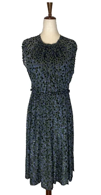 Rachel Comey NY Velvet Burnout  A Line Dress 6 Silk Dots Ruching Sheer Overlay - Image 1 of 4