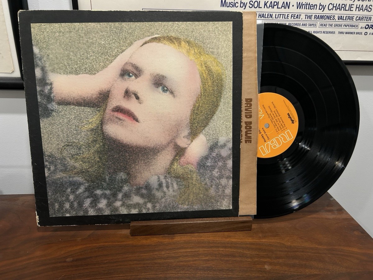 ミュージック David Bowie 12inch Vinyl | David Bowie | The Rise & Fall Of Ziggy Stardust