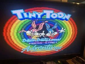 Tiny Toon Adventures: Buster Busts Loose Super Nintendo SNES, Tested - Picture 1 of 4