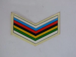 WORLD CHAMPION - RAINBOW DECAL / STICKER - Bild 1 von 2