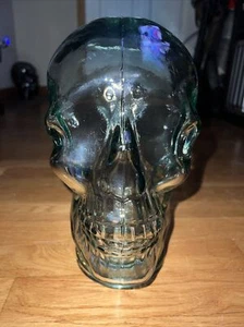 NWT San Miguel Vidrios 100% Recycled Glass Human Skull Head Made in Spain Large - Picture 1 of 12