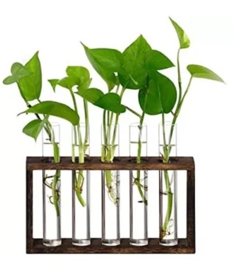 Jardinera de terrario colgante de pared con 5 tubos de ensayo, jardineras de pared para pla... Foto 1 de 4