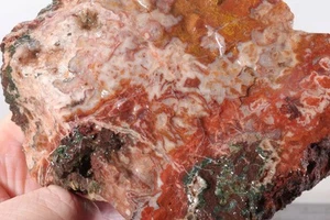 Morocco Apple Valley Agate 1 lb 1 oz. lapidary rough F3 - Picture 1 of 15