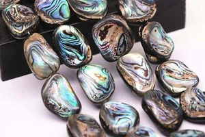 Abalone Irregular Rectangle Shape Beads 15x20mm 18x25mm 20x30mm 15.5" Strand - Picture 1 of 9