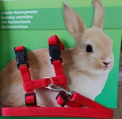Kaninchen/Meerschweinchen Garnitur,ROT, Geschirr + Leine ,Garnitur, Spazier Set - Bild 1 von 3