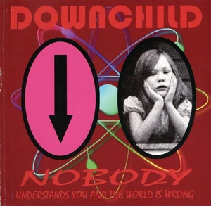 Nobody Understands You & the World is Wrong: Downchild Uxbridge MA (CD, 1997) - Imagen 1 de 4