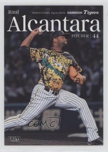 2022 BBM Hanshin Tigers Raul Alcantara #T23