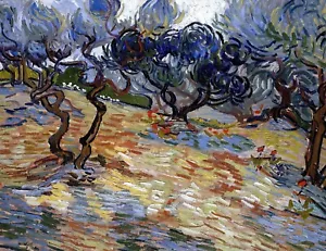 Olive Trees Painting by Vincent van Gogh Reproduction - Picture 1 of 3