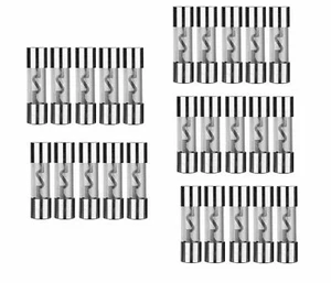 10 AMP AGU Platinum Fuse Glass Style Amp/Car/RV/Boat/Solar 12V/24V/32V 25 Pack - Picture 1 of 1
