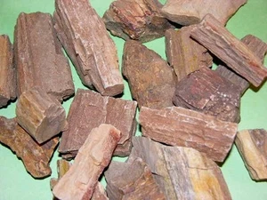 Petrified wood Arizona,USA 1 to 5 inch 10 pound lots free priority shipping - Picture 1 of 3