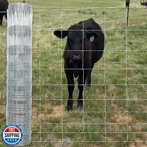 RXWJZP Recinzione Fattoria, 4ft X 164ft Recinzione Filo, Recinzione Capra Bovini Cervi Allevamento, - Foto 1 di 5