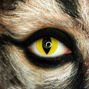 Lenti Cosplay - Yellow Cat 14.50 mm - Imagen 1 de 1