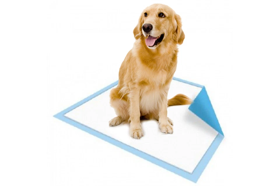 MCKESSON Puppy Pee Pad 23 X 36 Inch Disposable Fluff Polymer Light Absorbency Case of 150