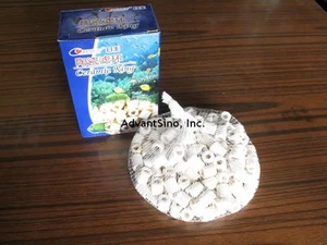 1 Beutel mit über 1 Pfund BioGlass biologische Filtermedien für Aquarium (VERSAND AUS USA) - Bild 1 von 1