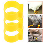100 Pcs Knöchel Hähnchenschenkelbänder Beinbänder Für Haustiervögel Geflügel