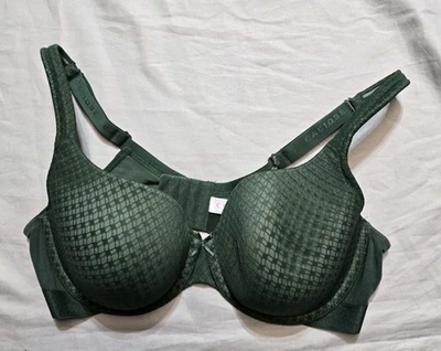Camiseta Cacique Bra Verde 40 D Con Aros Ligeramente Forrada Foto 1 de 3
